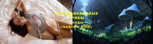 твердый Пролетарск