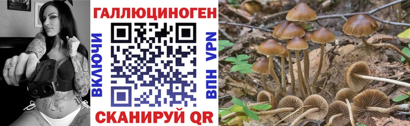 Псилоцибиновые грибы MAGIC MUSHROOMS  Клинцы 